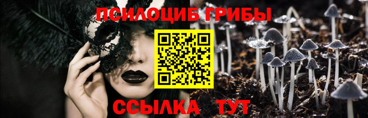 Псилоцибиновые грибы Cubensis Железногорск
