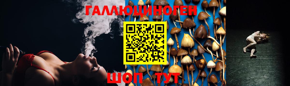 Псилоцибиновые грибы Psilocybine cubensis  Вход с VPN  Железногорск 
