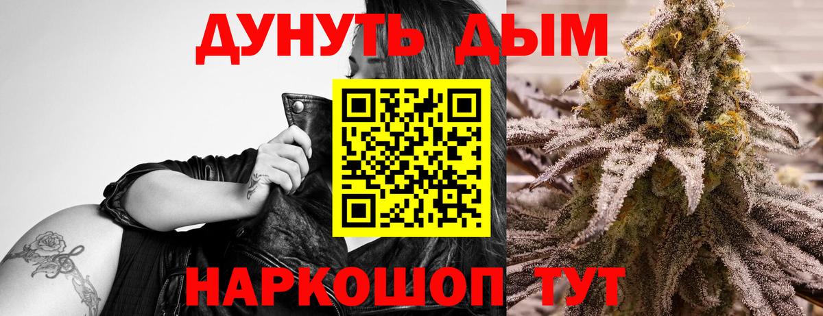Конопля гибрид Железногорск